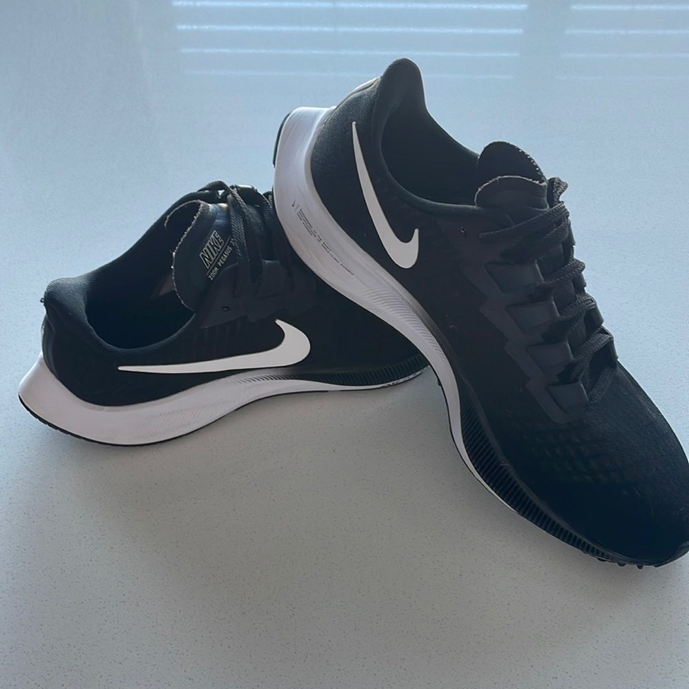 Nike zoom Pegasus